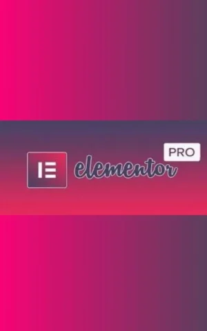 Elementor Pro Version 3.23.3