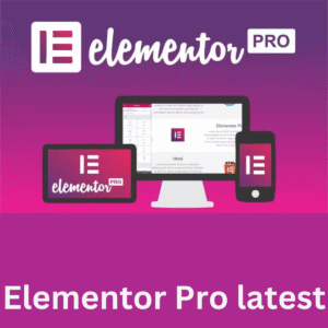 Elementor Pro latest Version 3.30.1