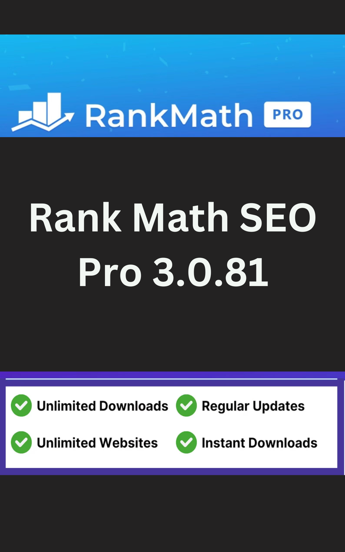 Rank Math SEO Pro 3.0.81