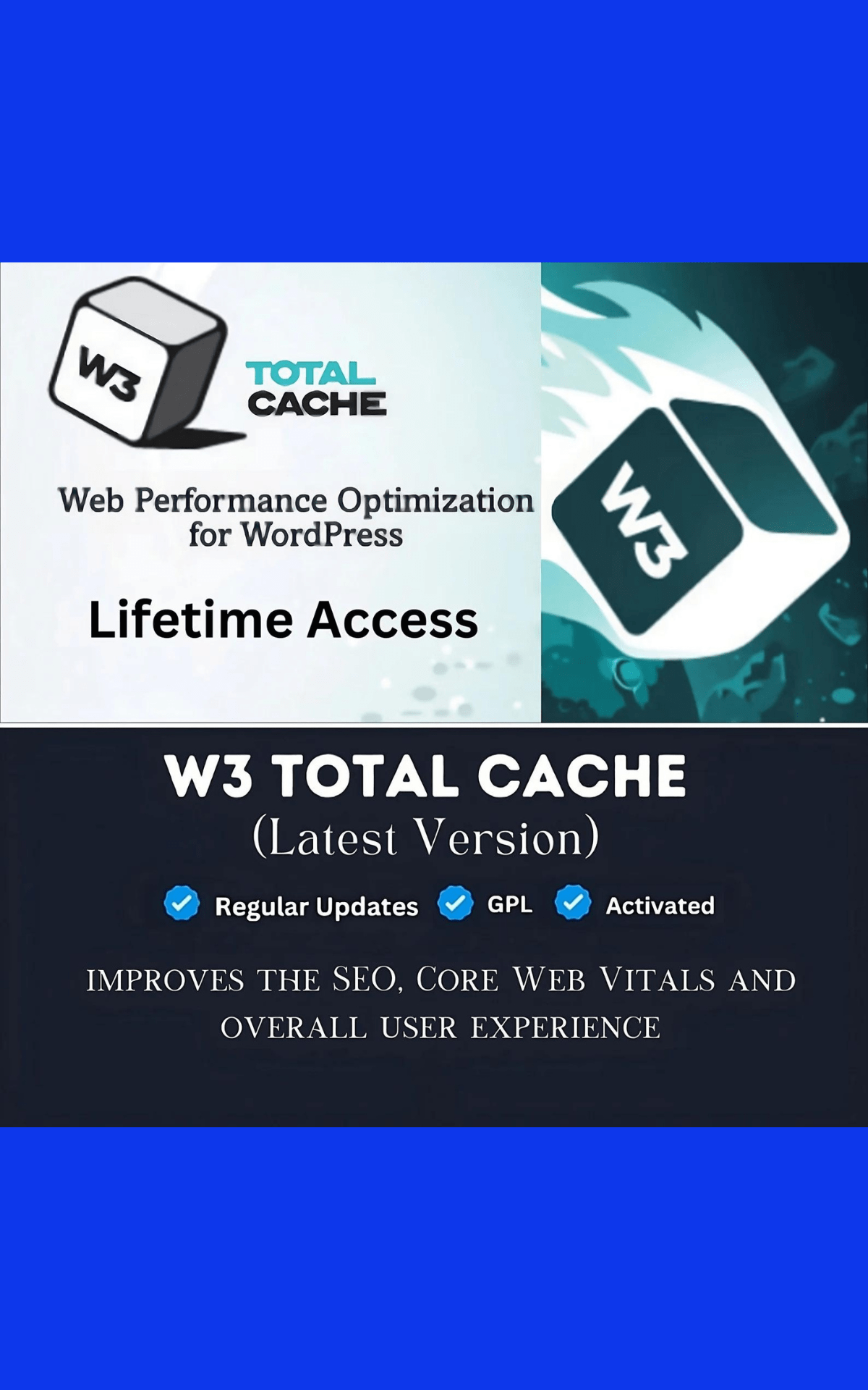 This is an image of W3 Total Cache Pro latest version