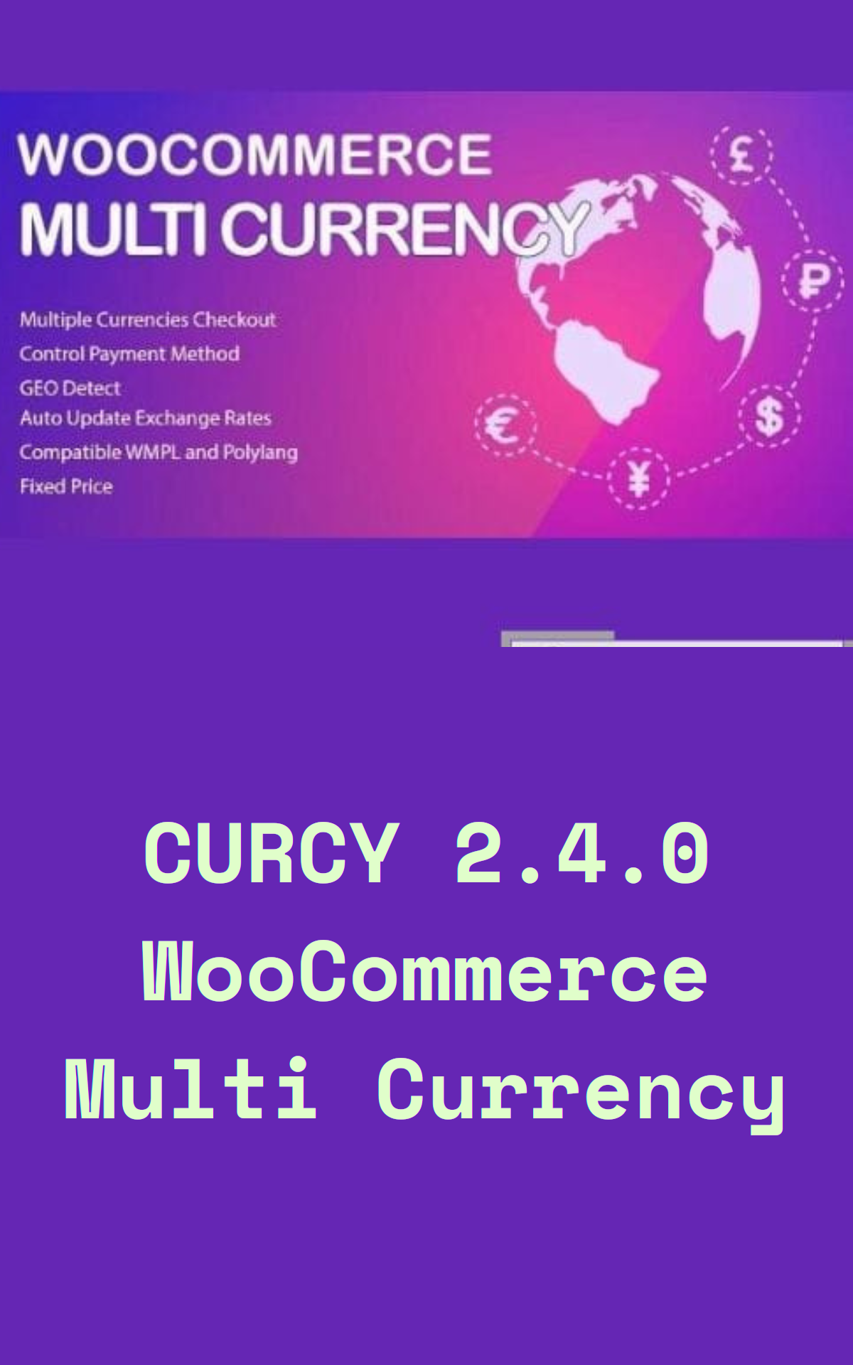 CURCY 2.4.0 WooCommerce Multi Currency