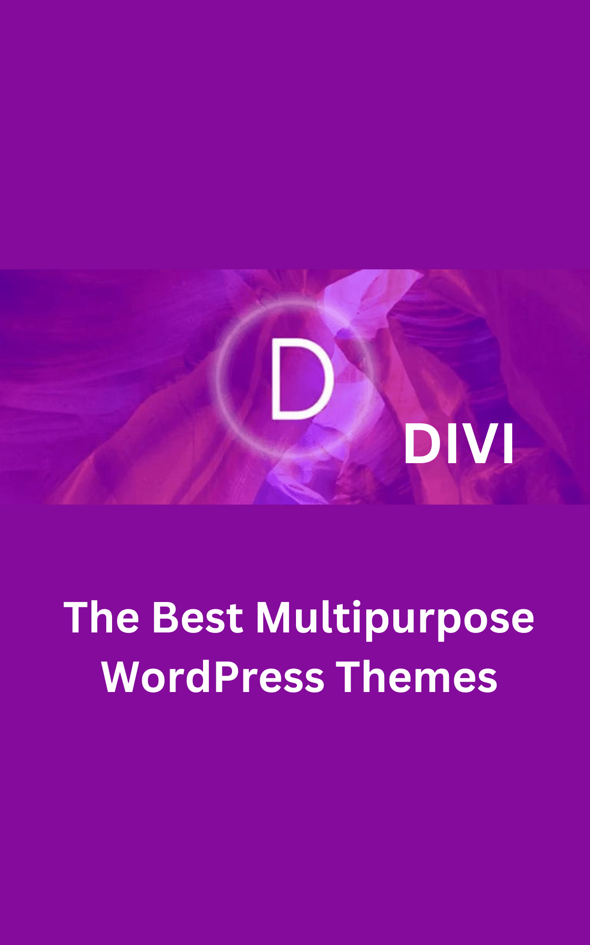 This is the image of DIVI the Best Multipurpose WordPress Themes