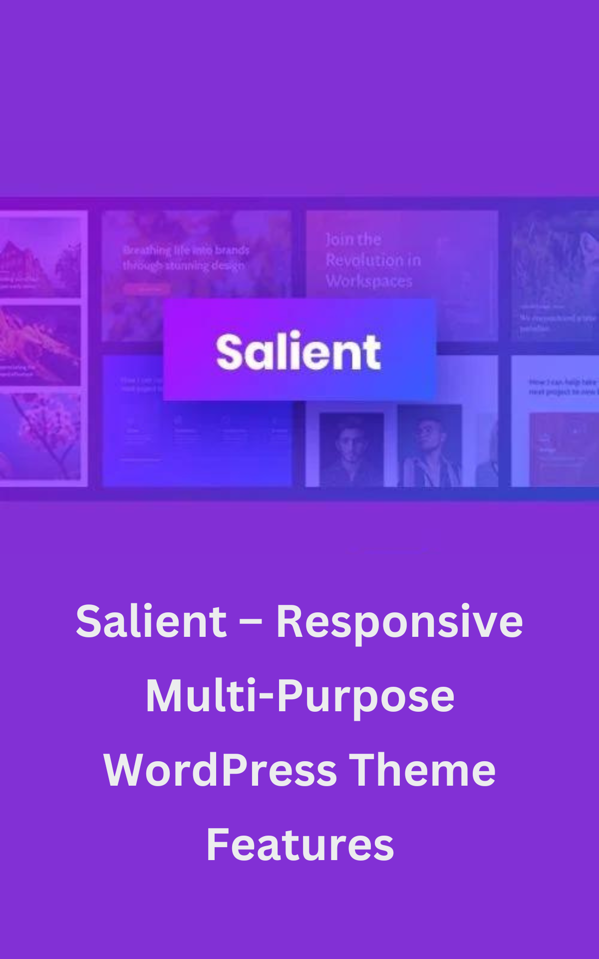 This is an image of Salient – Responsive Multi-Purpose WordPress Theme Features